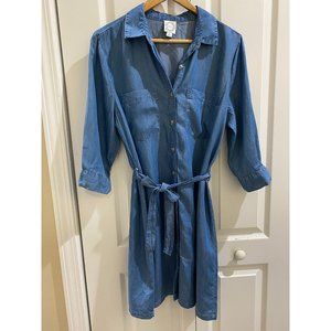 DONATED Francesca’s Blue Rain Dress